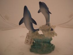 DOLPHIN