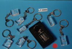 LP8995 KEYRING