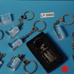 LP8995 KEYRING