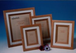 LP1582 FRAME