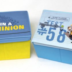 DESPICABLE ME STORAGE BOXES in blue