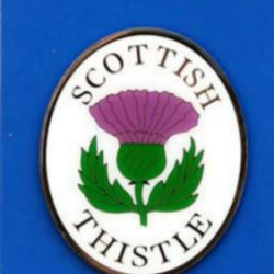 THISTLE BRASS MAGNET