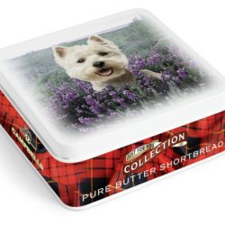 Square Westie Dog in  Tin (shortbread fingers) 90g