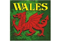 WALES GLASS COASTERS DRAGON DESIGN SET OF 4