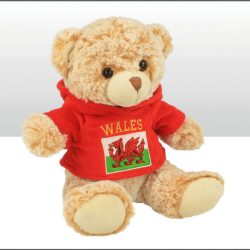 Wales 20cm Fleece Hoodie Soft Toy Bear