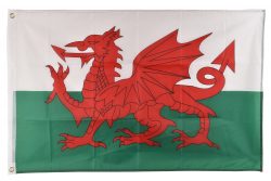 5′ x 3′ WALES FLAG