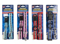 PET COLLAR & LEAD SET