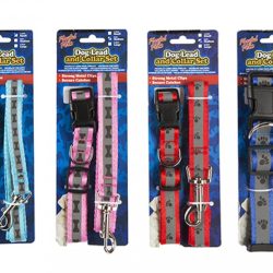 PET COLLAR & LEAD SET