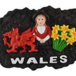 WALES COAL DRAGON MAGNET