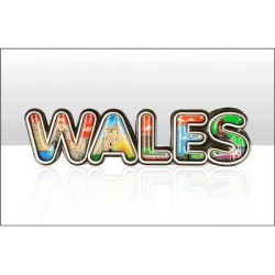 Wales Montage Lettering Wood Epoxy Magnet