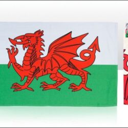 Wales Dragon Flag Tea Towel