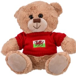 WALES PLUSH BEAR IN JUMPER 25CM