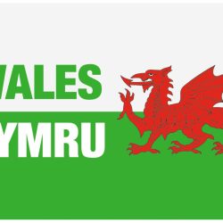 WALES FLAG TIN MAGNET