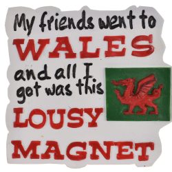 WALES RESIN MAGNET LOUSY DESIGN