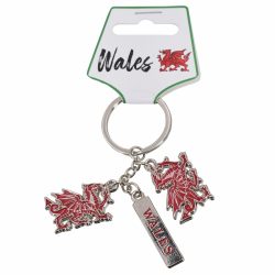 WALES METAL KEYRING DRAGON CHARMS