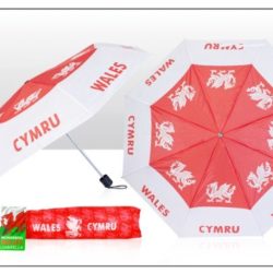 Wales Collapsible Umbrella