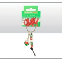 WALES DICE AND HEART METAL KEYRING