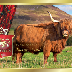 TINNED MINTS 40g HIGHLAND COW