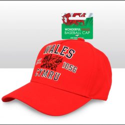 VARSITY BASEBALL HAT WALES