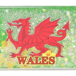 WALES DRAGON DAFFODIL ACRYLIC MOVING MAGNET