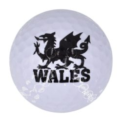 WALES DRAGON GOLF BALL MAGNET