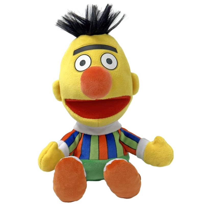 BERT - SESAME STREET - REG